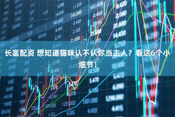 长富配资 想知道猫咪认不认你当主人？看这6个小细节！